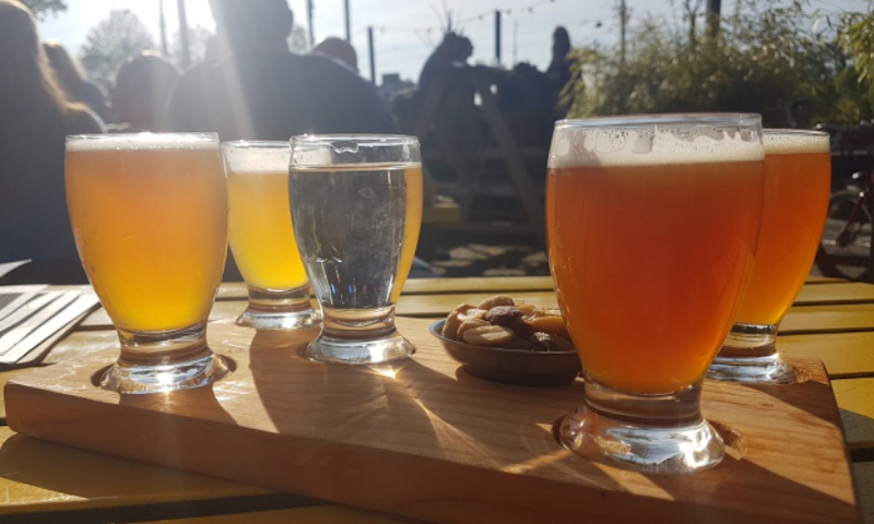 Proefplankje op reis Proefplankje op reis